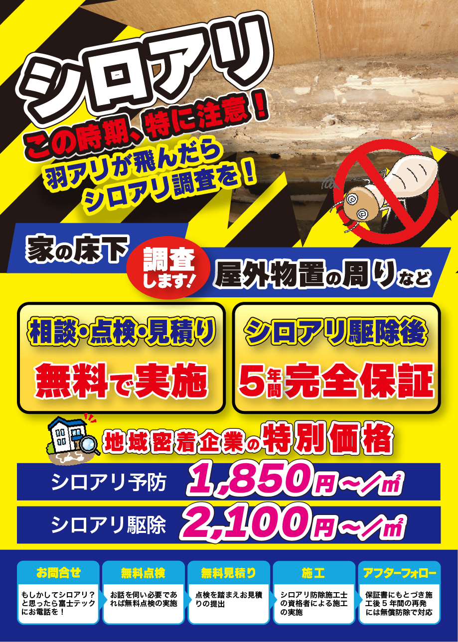 シロアリこの時期、特にご注意